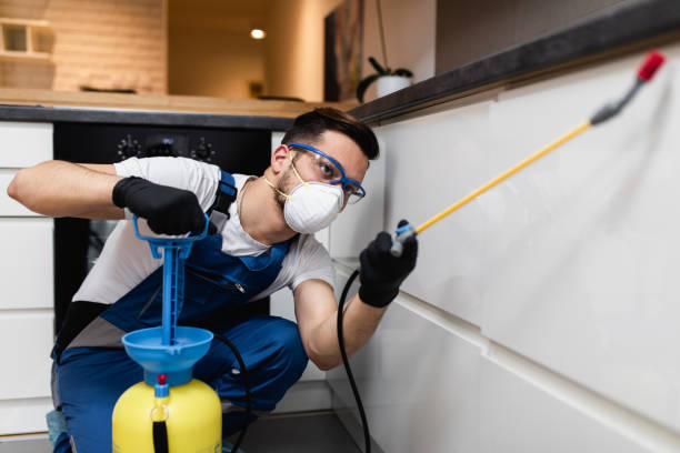 Best Best Pest Control Companies  in Norton, OH