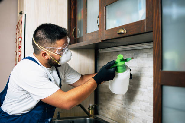 Best Pest Control Near Me  in Norton, OH
