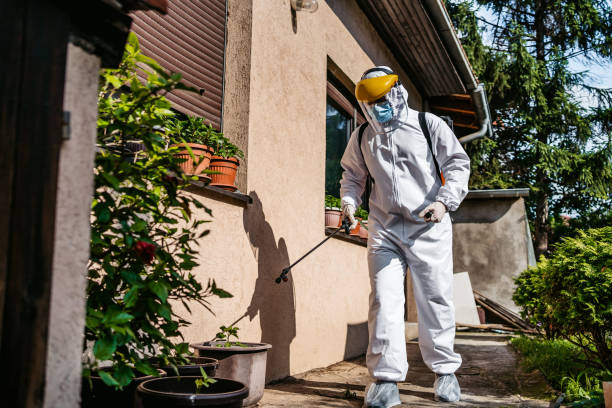 Best Ant Control Services  in Norton, OH