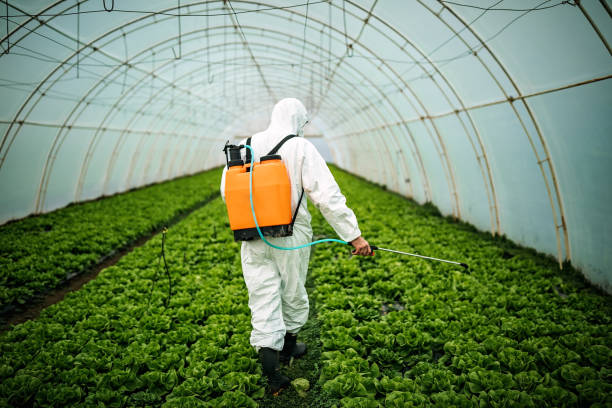 Best Commercial Pest Control Services  in Norton, OH