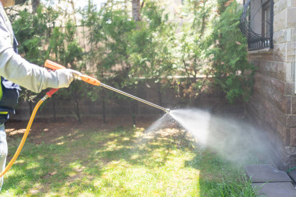 Best Pest Removal Services  in Norton, OH