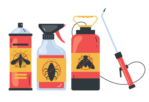 Best Wasp Removal Services  in Norton, OH